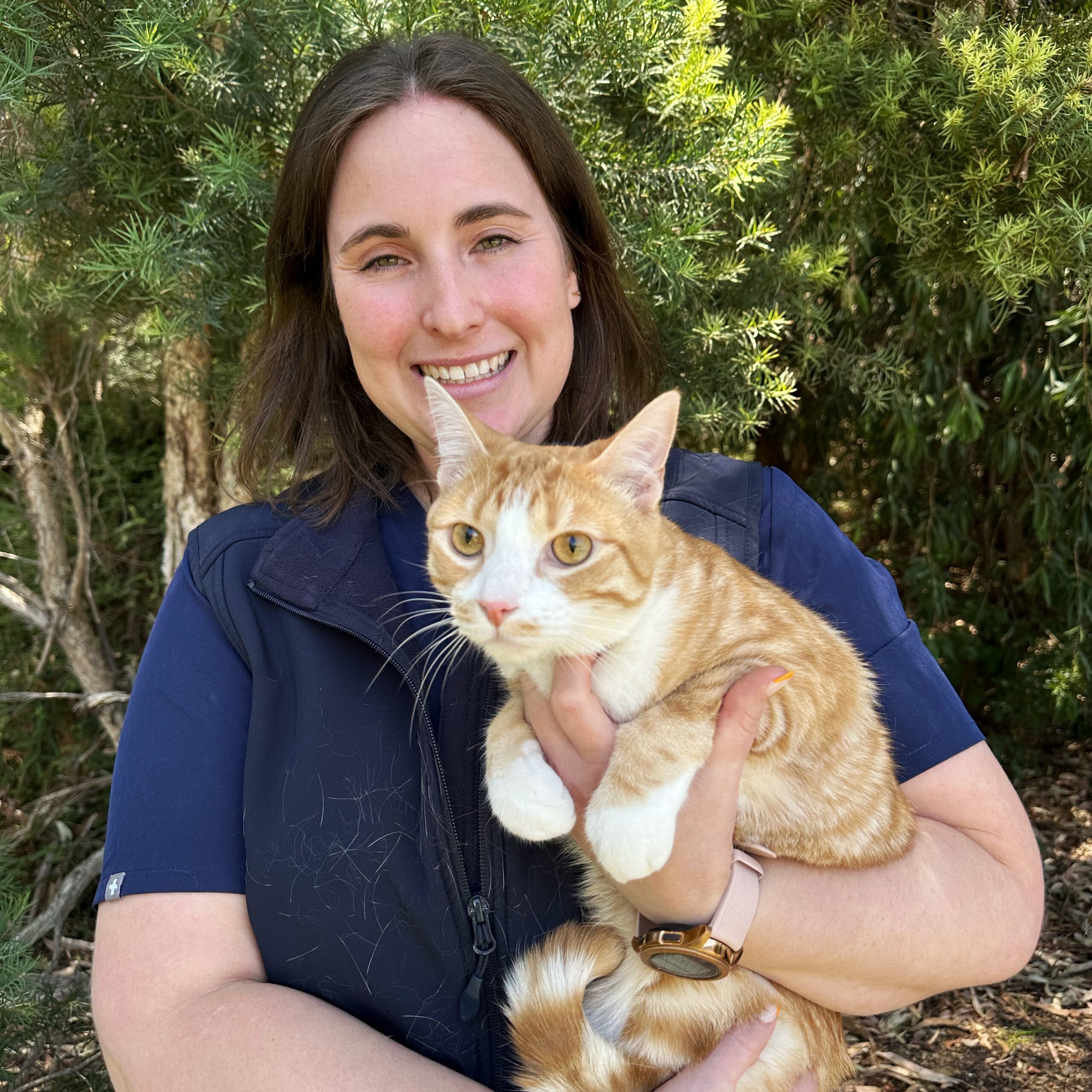 Willunga Aldinga Vet Veterinary Services